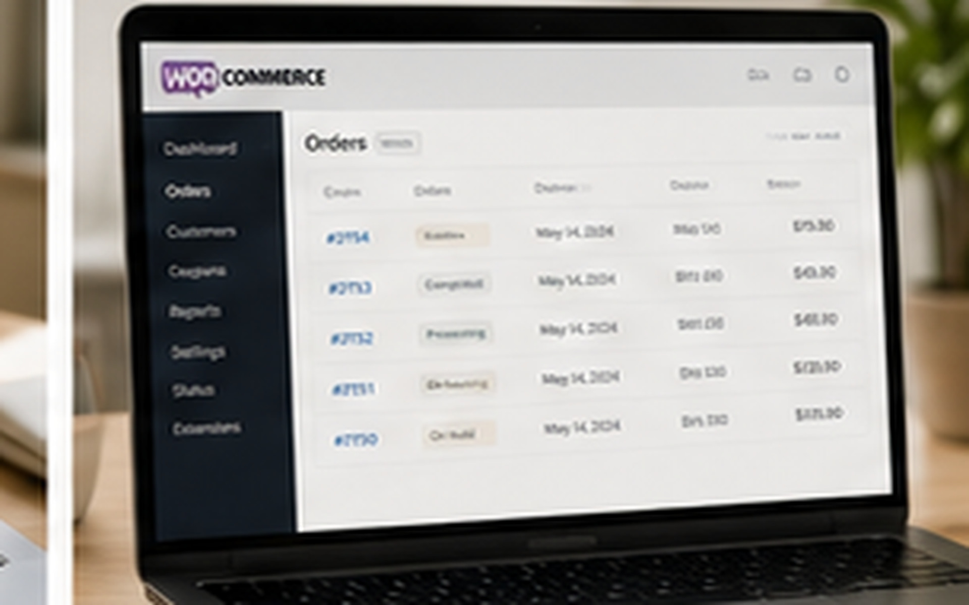 Shopify Stores Meta Ads discovery campaign visual