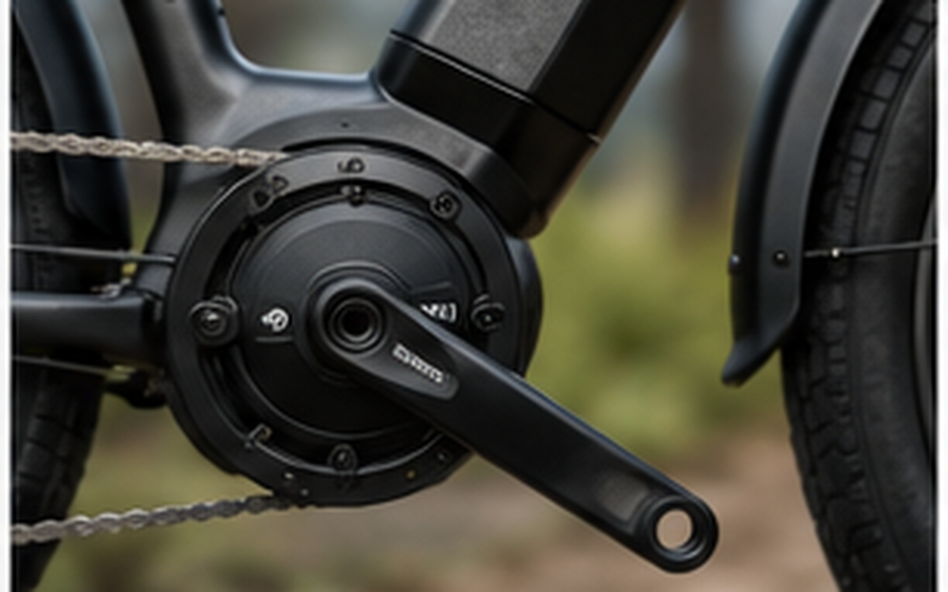 Ebike Brands Meta ad creative preview